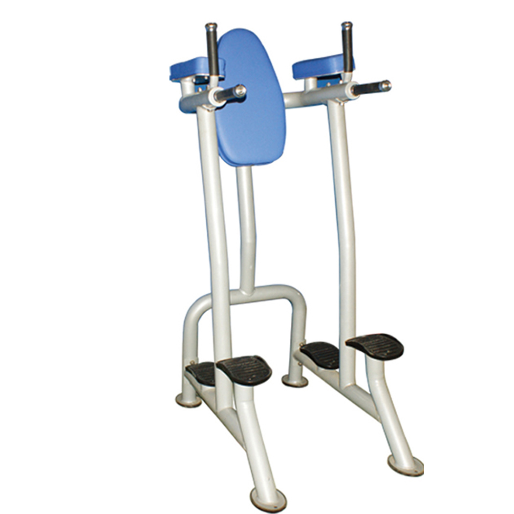 CM 235 Vertical Leg Raise Dip