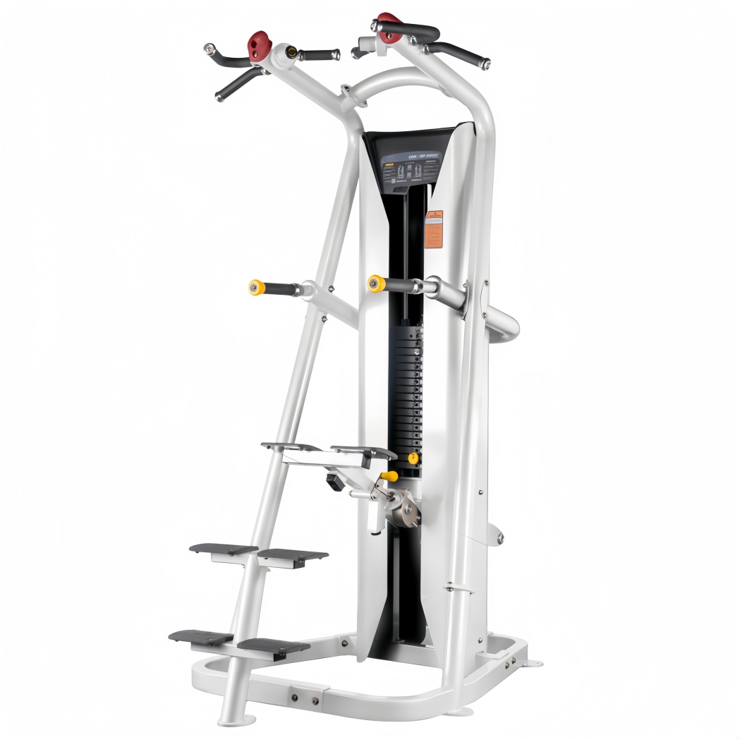 CM-219 PRO Chin/Dip Assist