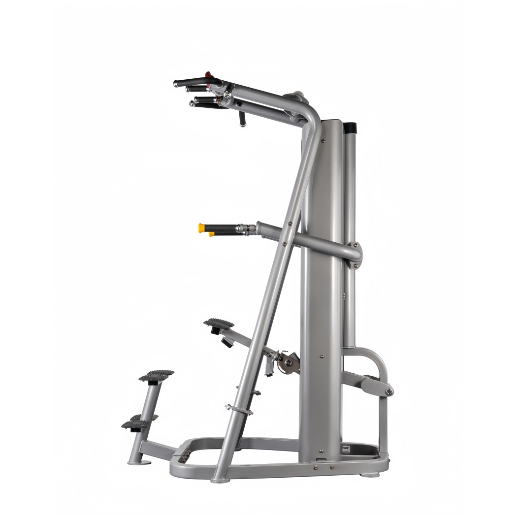 CM-219 PRO Chin/Dip Assist