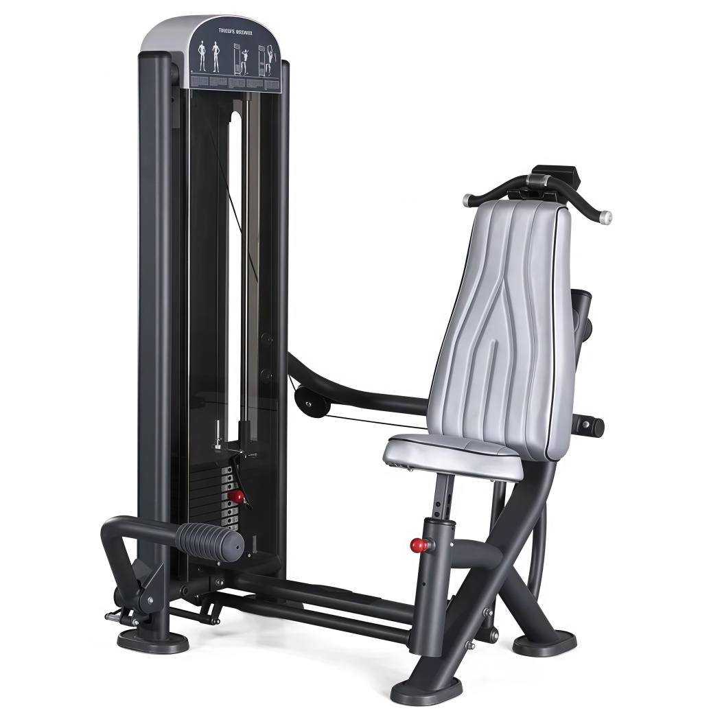 PA-166 TRICEPS MACHINE