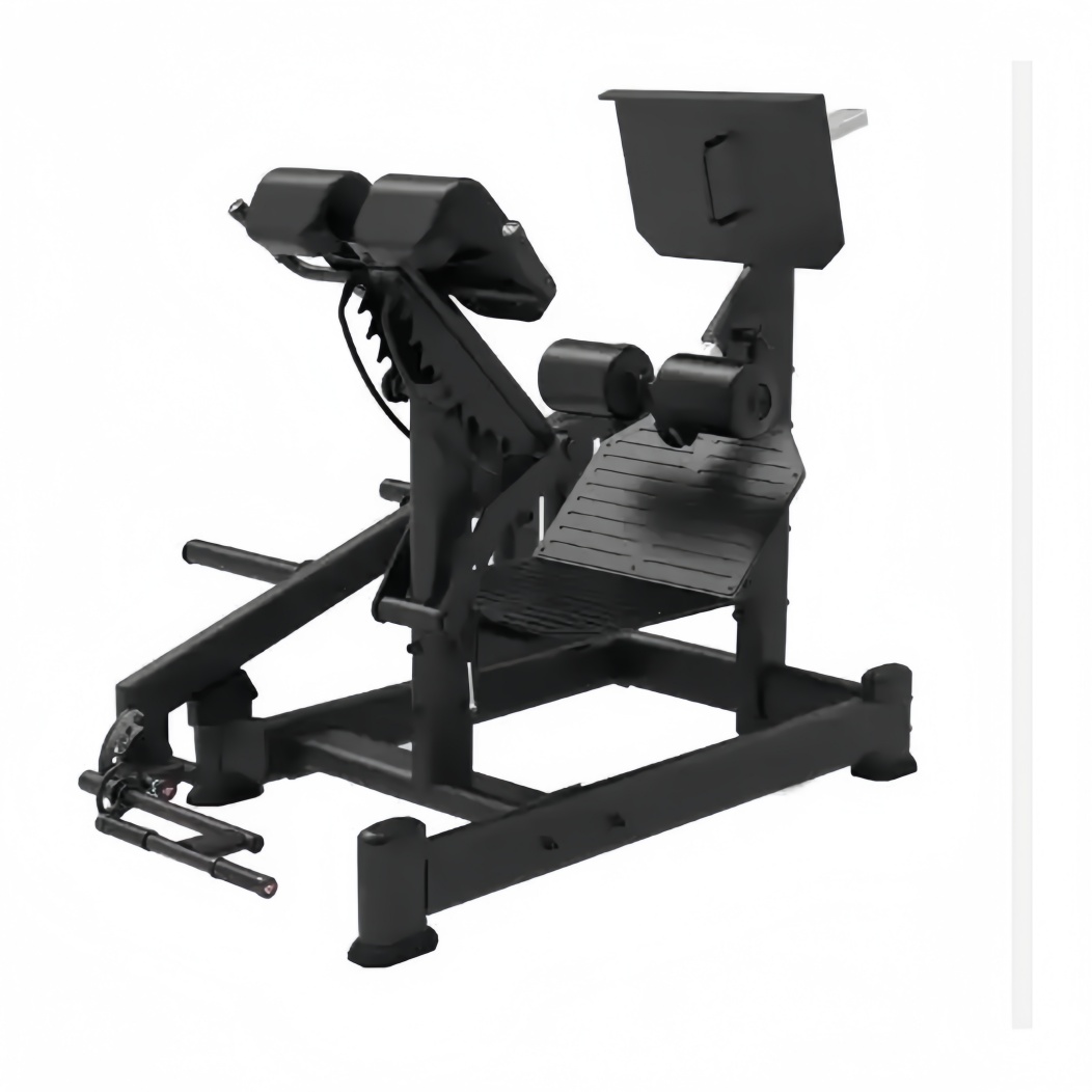 CM-579 DUAL 45 HIP EXTENSION