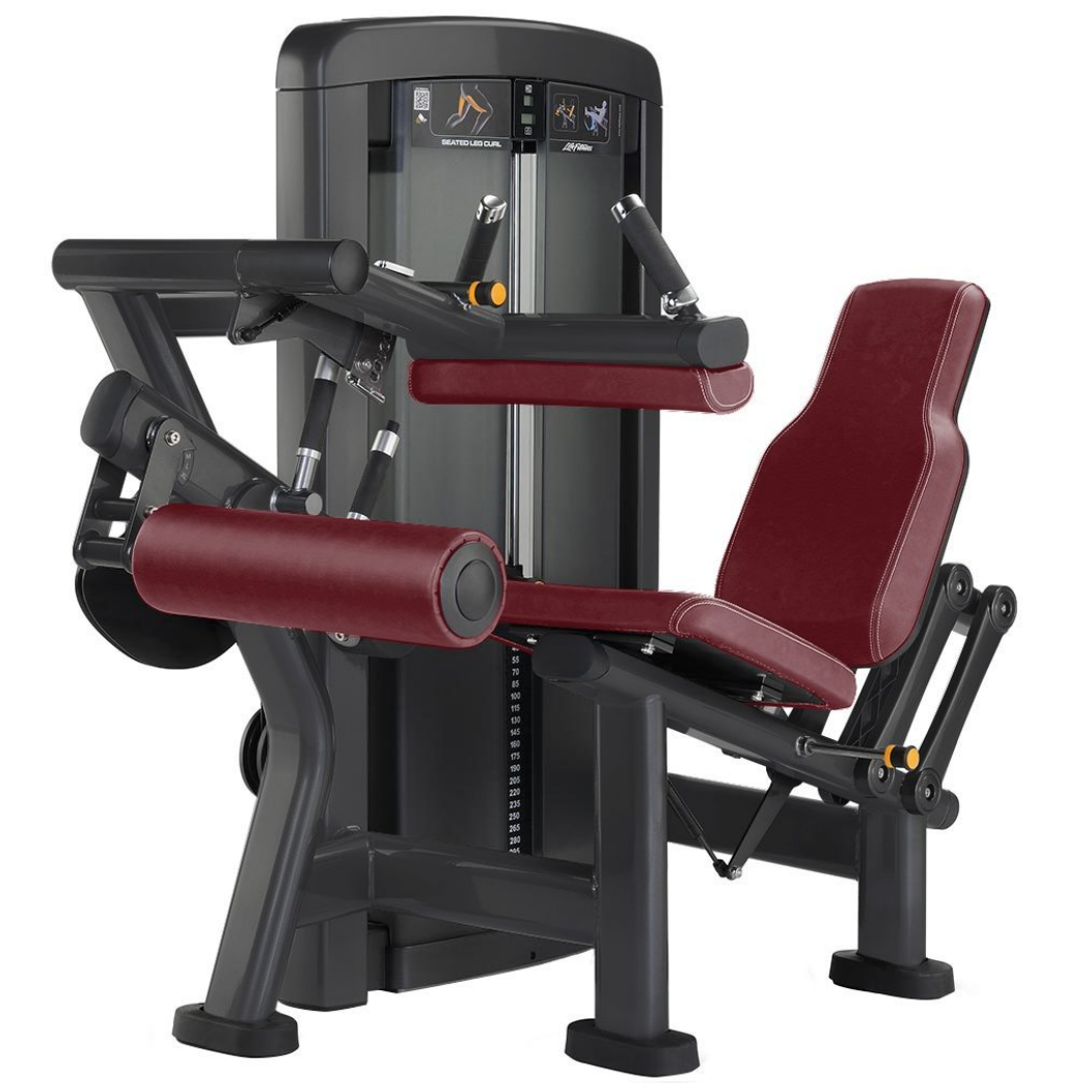 LF-04A Seated Leg Curl+Leg Extension