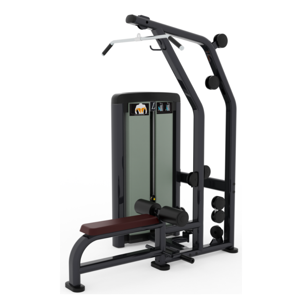 LF-19 LAT PULL DOWN+LONG ROW