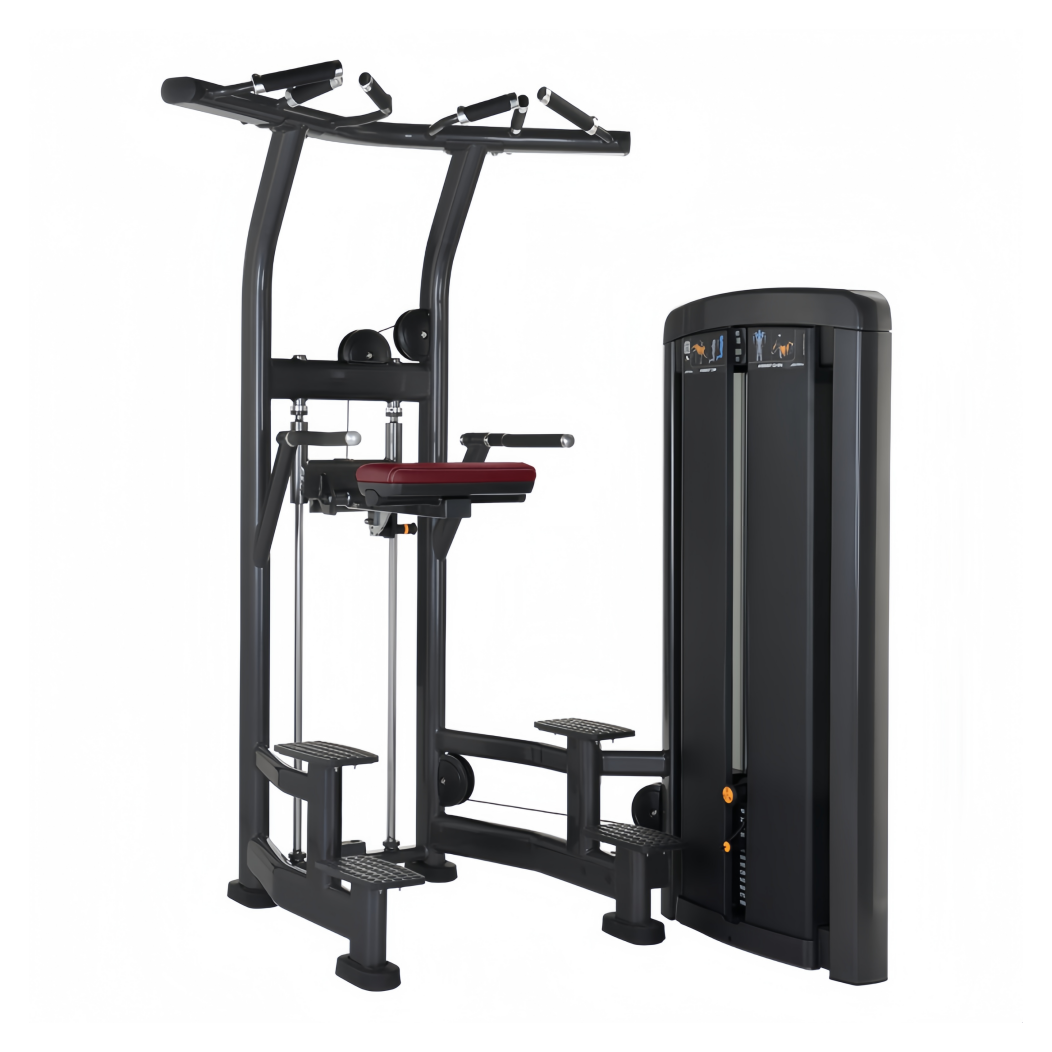 LF-25 Assist Chin Up