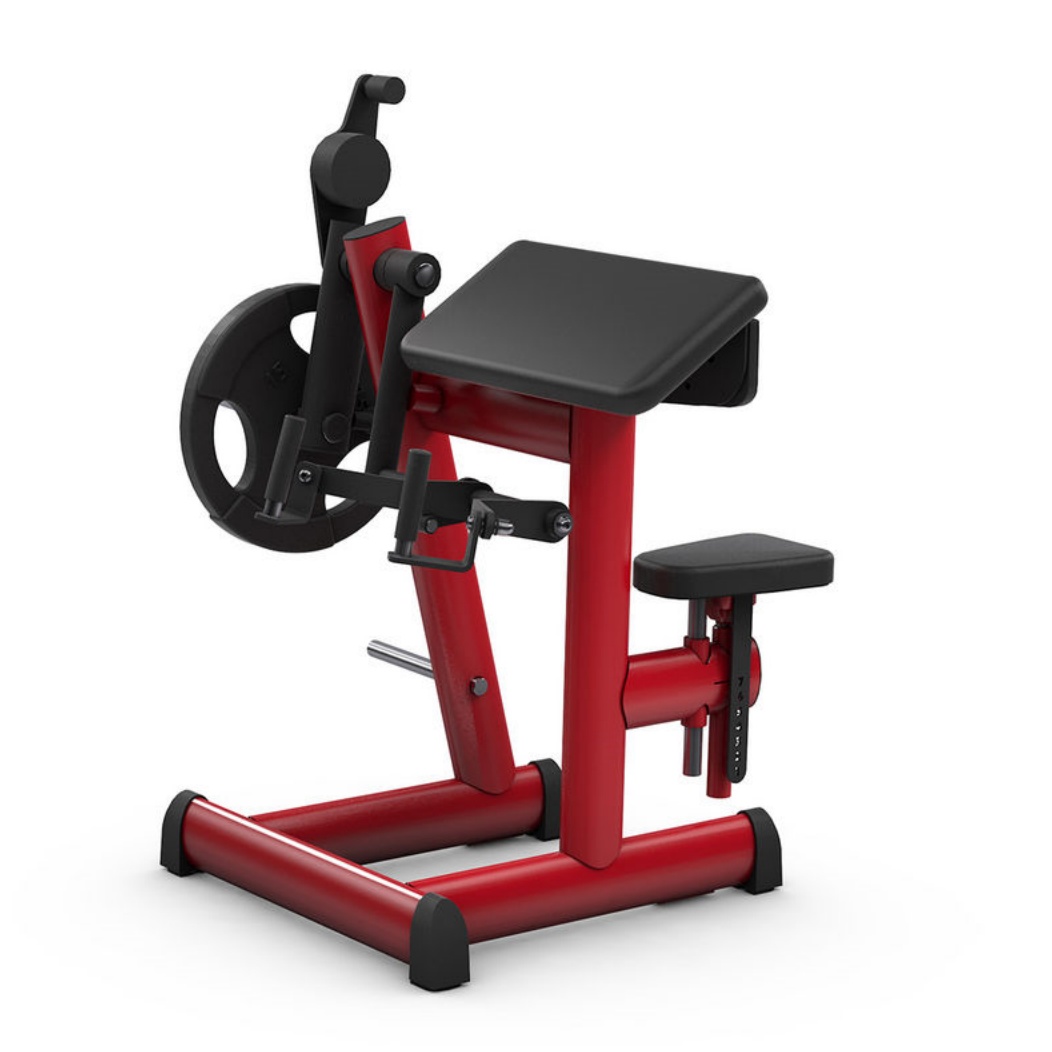 G4338 PURE KRAFT BICEPS CURL