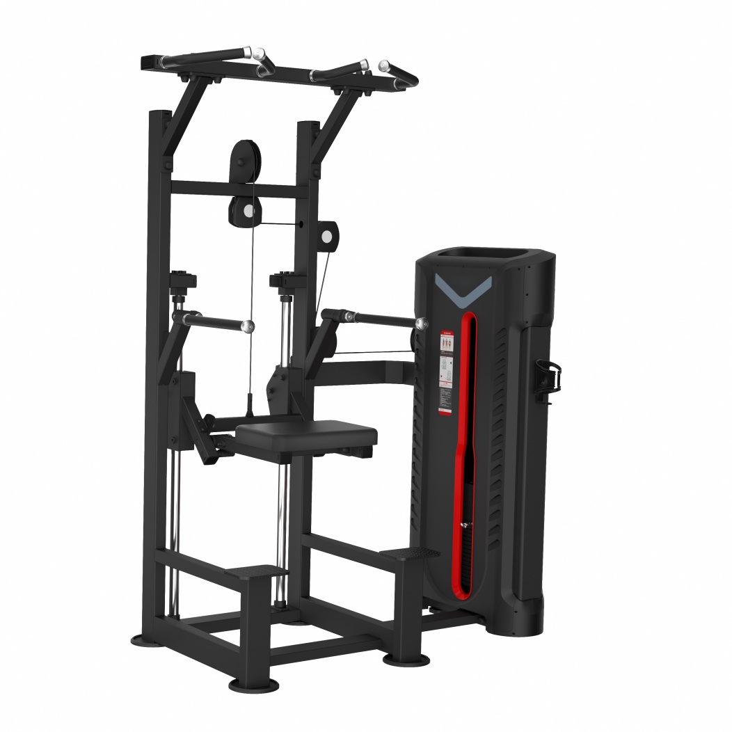 FA9008 Assist Chin Up