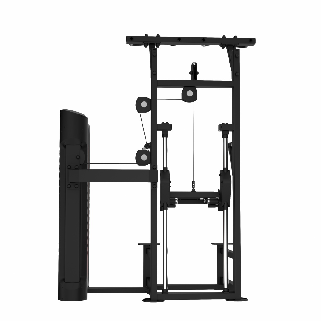 FA9008 Assist Chin Up