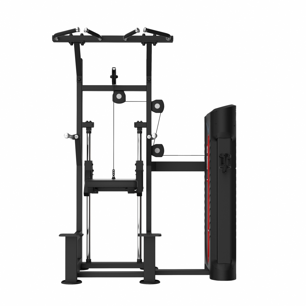 FA9008 Assist Chin Up