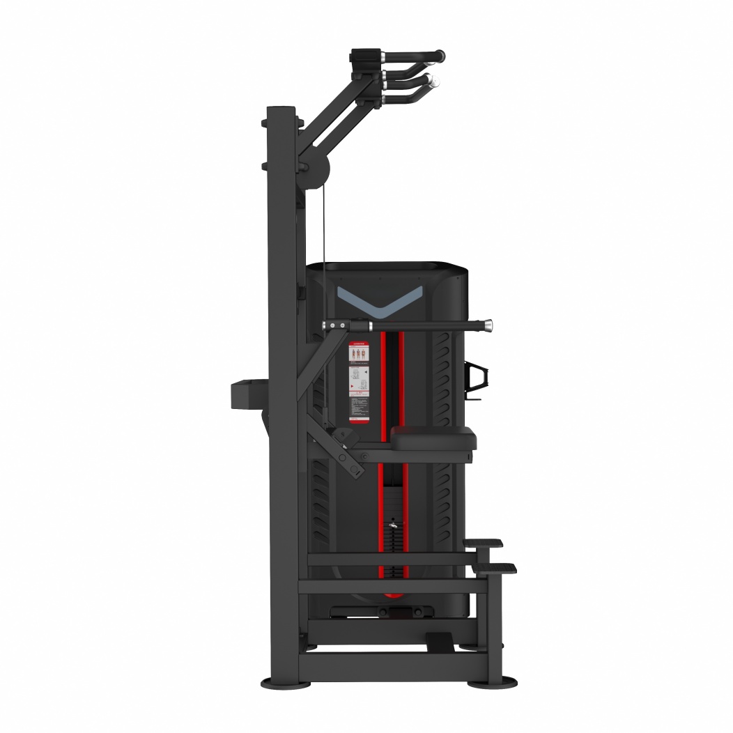 FA9008 Assist Chin Up