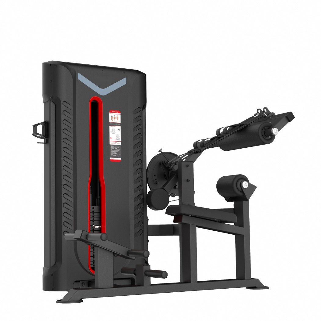 FA9025 ABDOMINAL MACHINE+BACK EXTENSION